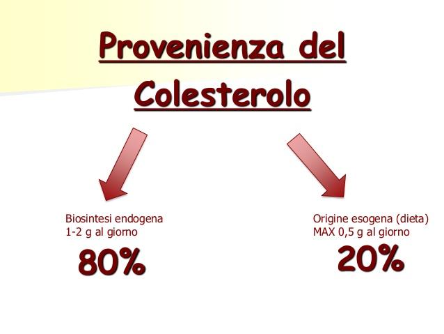 Qualiterbe - Provenienza del colesterolo