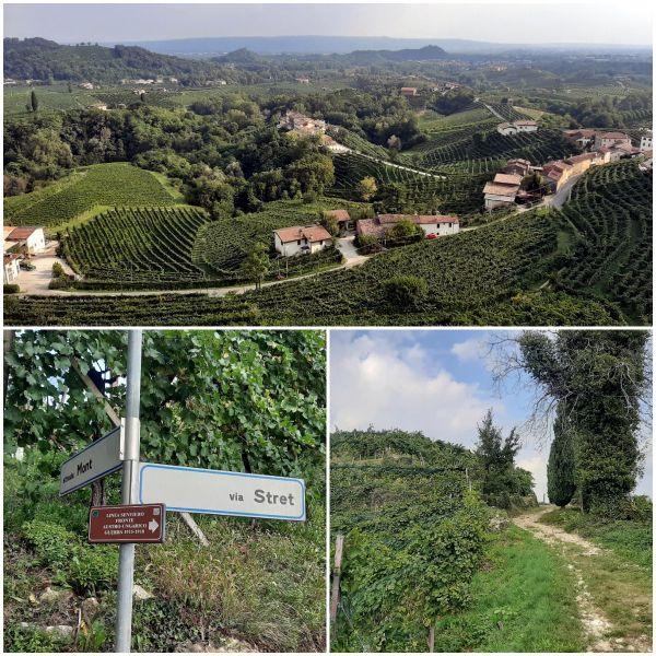 L'Anello del Prosecco Superiore: un itinerario storico-naturalistico tra vigneti, cantine e borghi