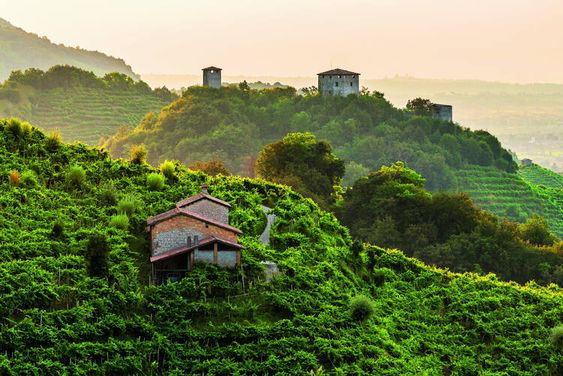 Itinerari enoturistici nelle colline di Conegliano e Valdobbiadene