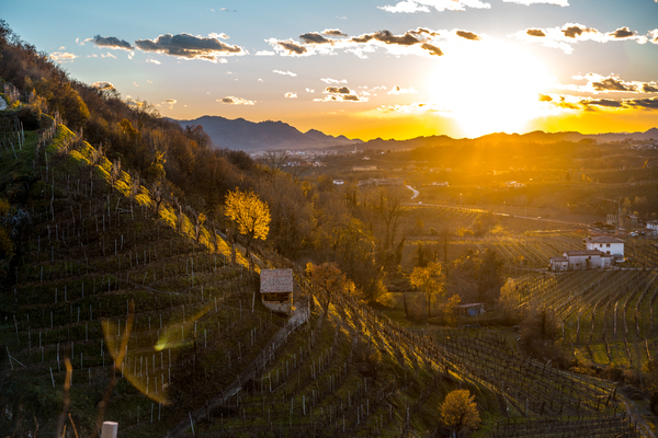 Colline del Prosecco di Conegliano e Valdobbiadene Patrimonio dell'Unesco