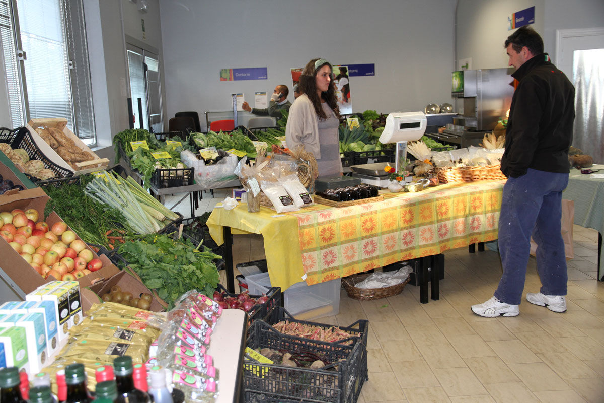 san marco group welfare