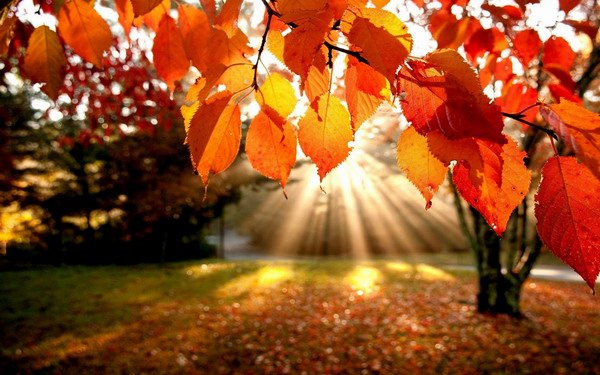 autunno in arrivo