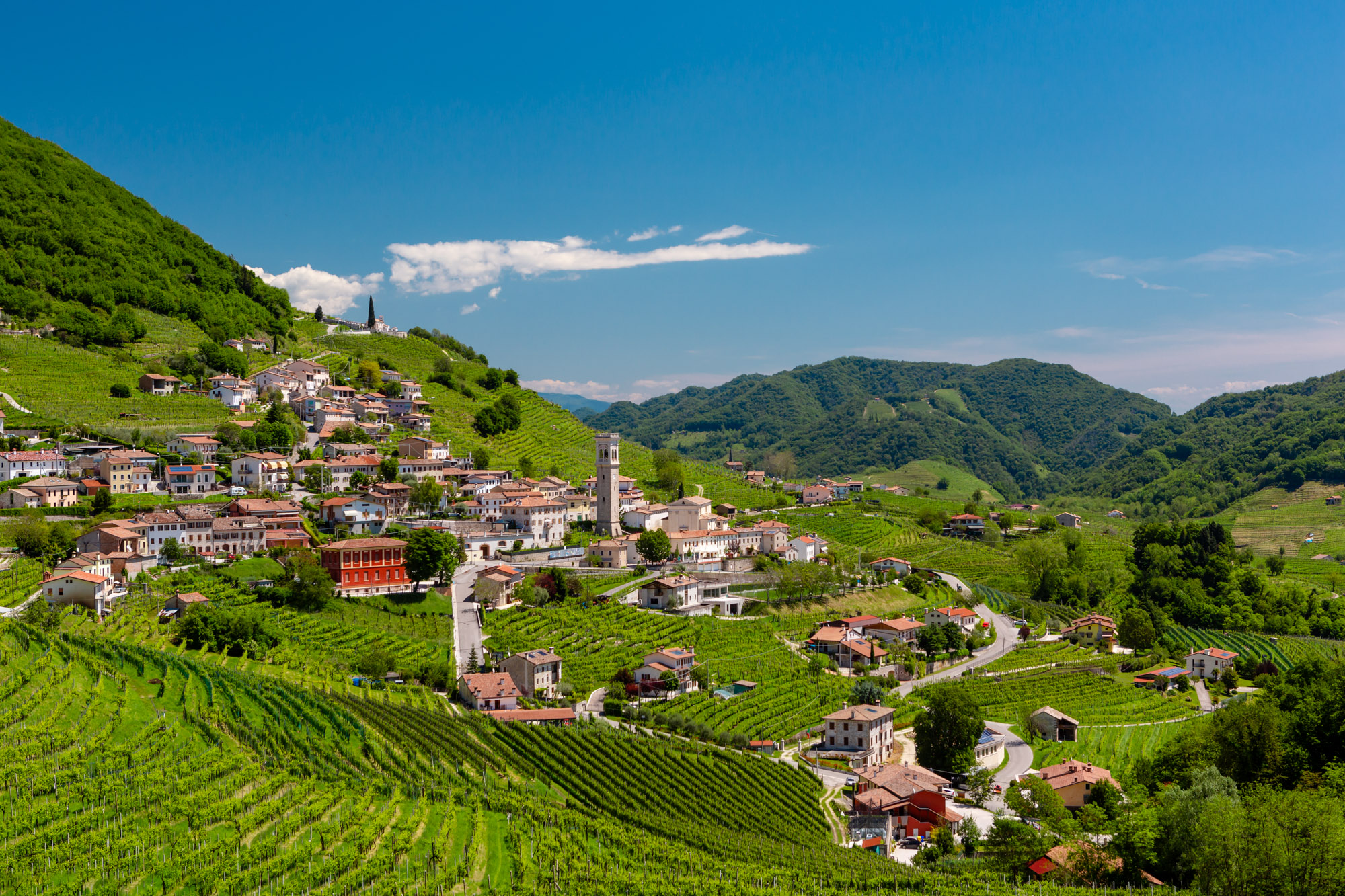 Viaggio nella viticoltura eroica - Le Rive di Santo Stefano