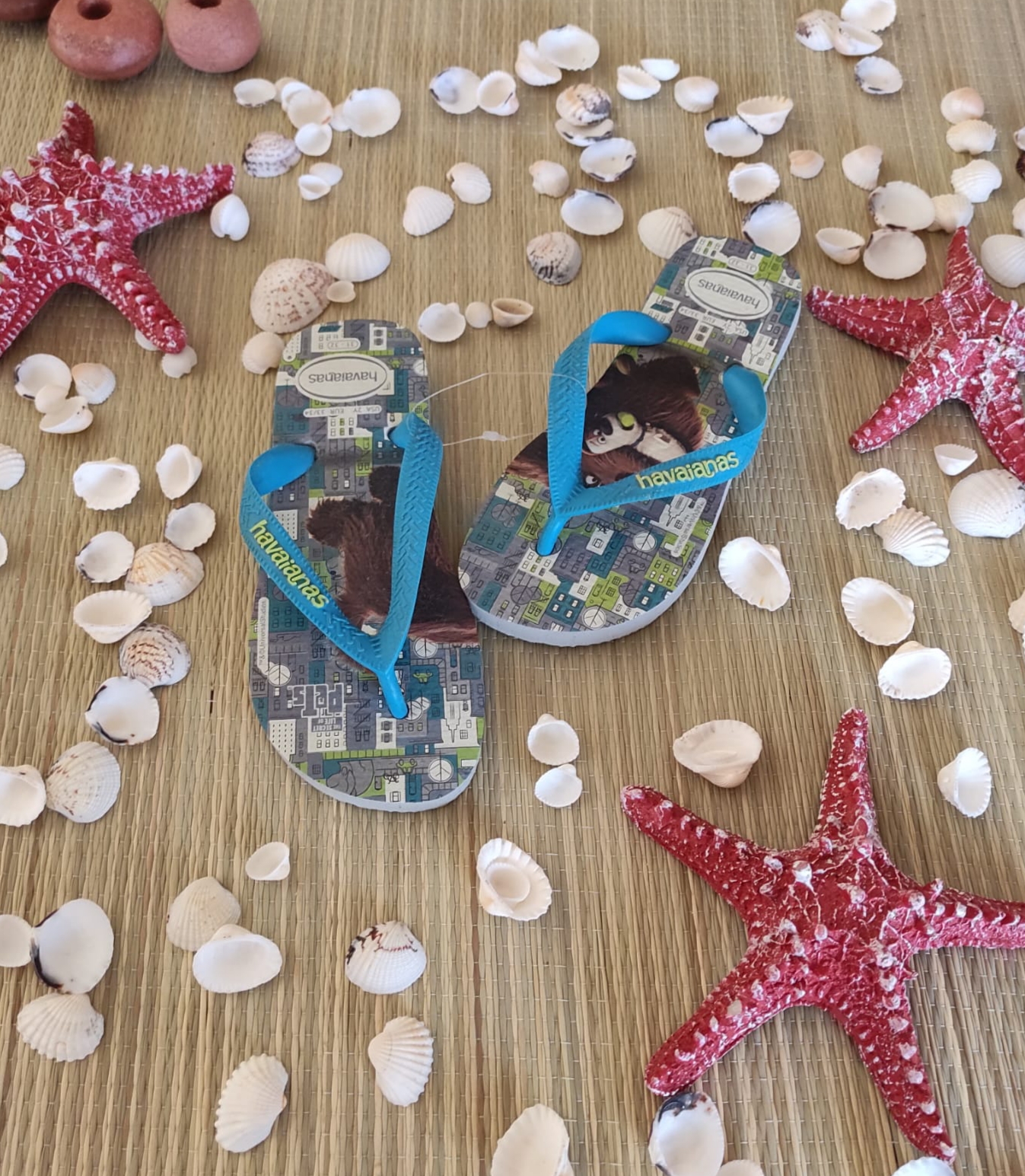 Havaianas bambino brasile cartoni animati bambina ciabatte mare